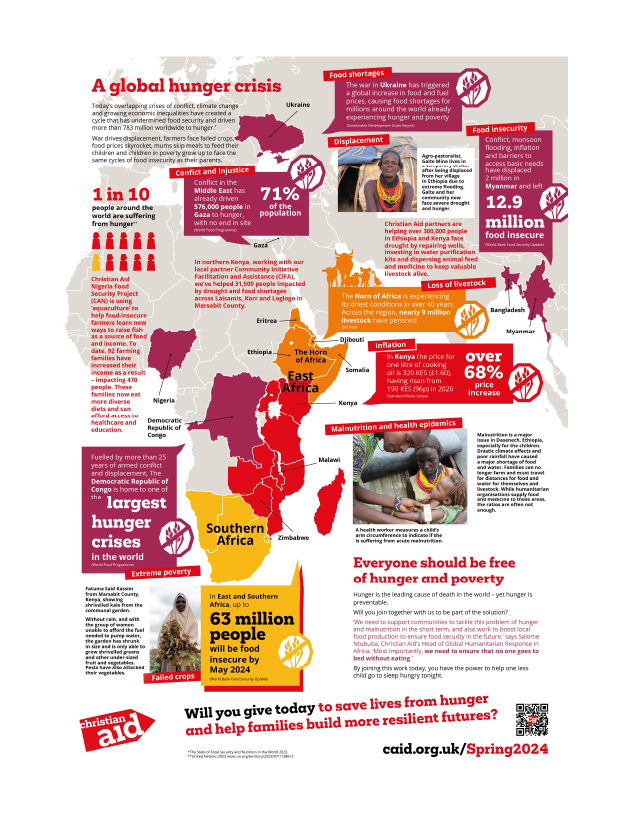 hunger crisis infographic and resource design